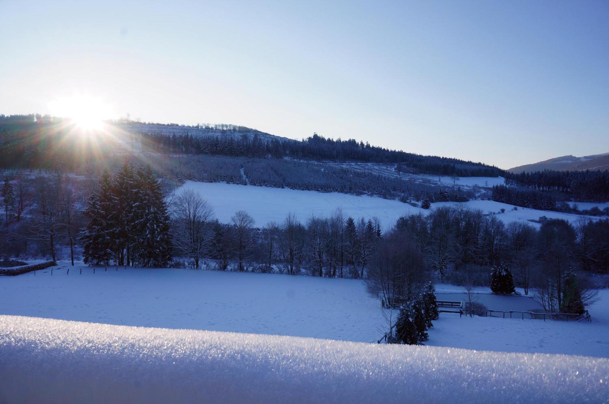 Waldhotel Schinkenwirt オルスベルク エクステリア 写真