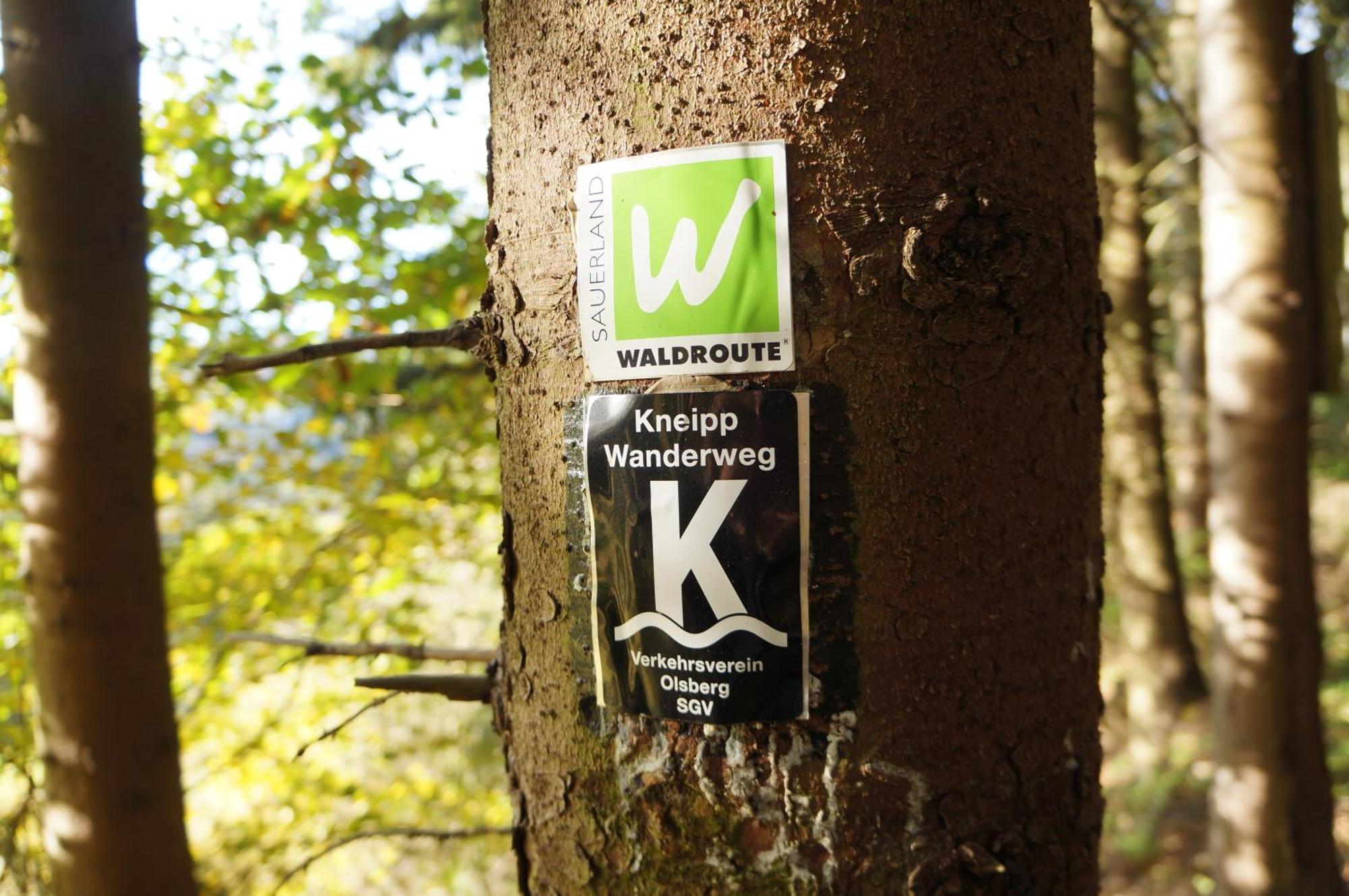 Waldhotel Schinkenwirt オルスベルク エクステリア 写真