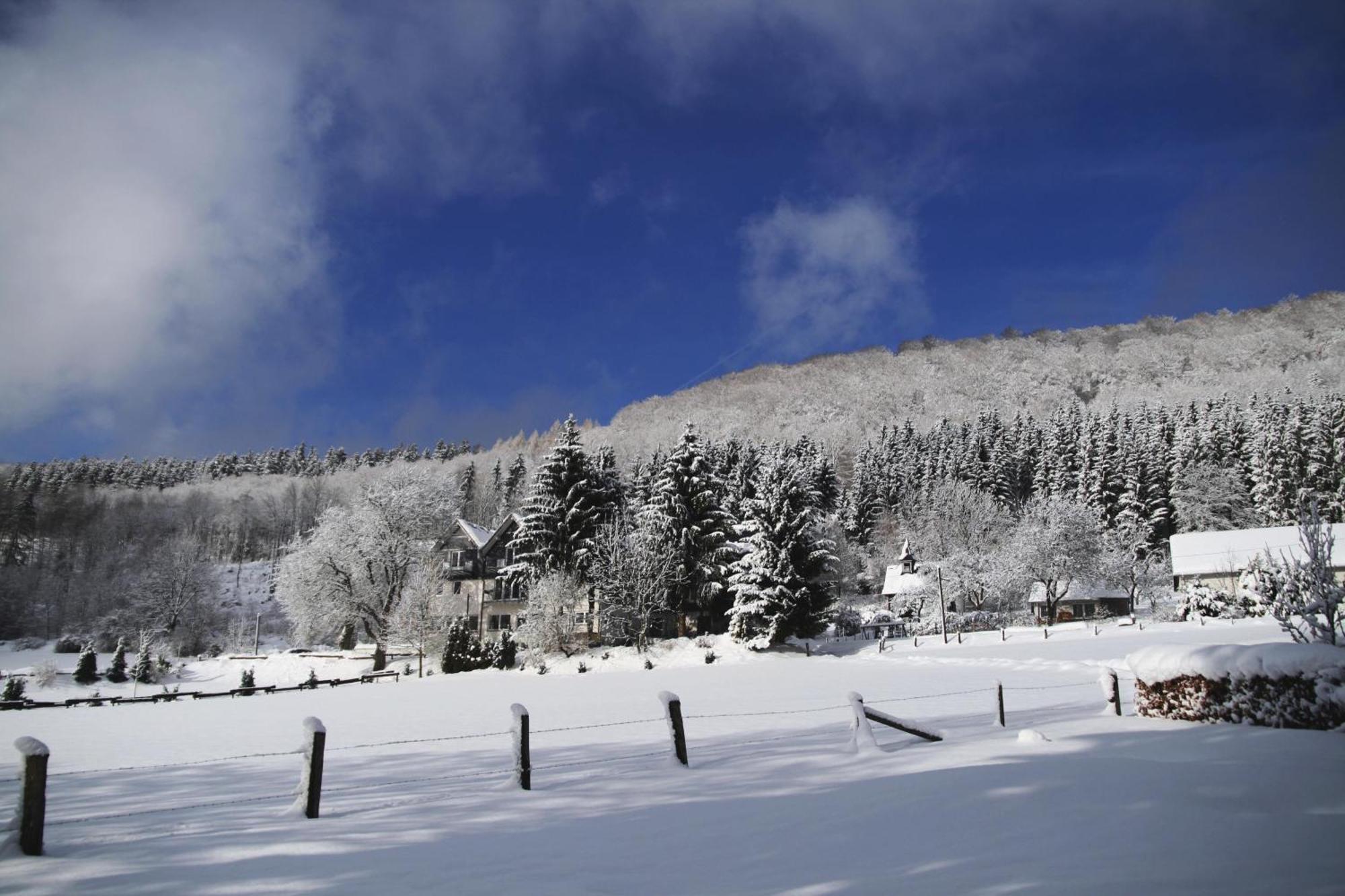 Waldhotel Schinkenwirt オルスベルク エクステリア 写真