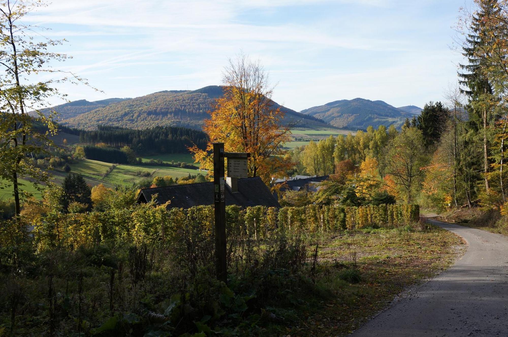 Waldhotel Schinkenwirt オルスベルク エクステリア 写真